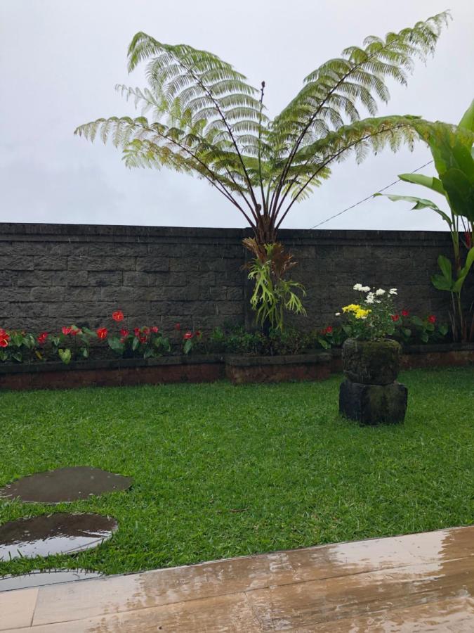 Buyan Lodge Lake View Villa Bedugul  Exteriér fotografie